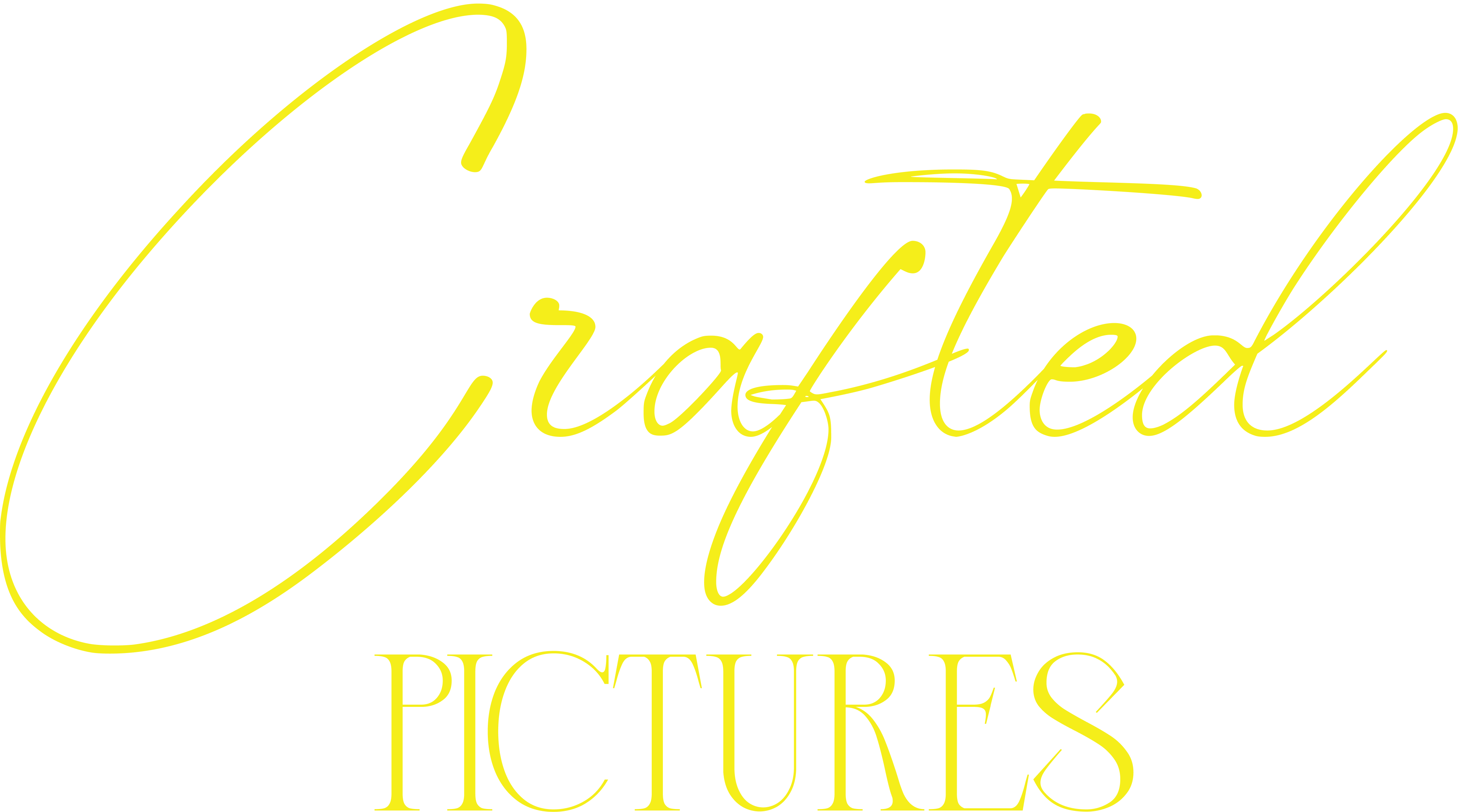 Crafted Pictures
